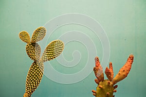 Two minimalist prickly pears with blue background