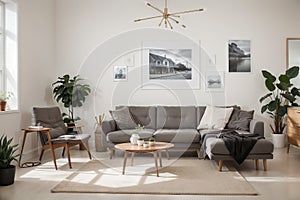 Two mock up posters frame on wall in modern interior background, living room. Books on cabinet. Scandinavian style. ing.