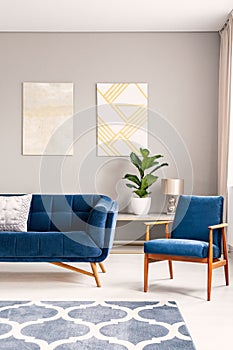 Two modern art paintings hanging on wall in real photo of bright sitting room interior with blue couch and armchair, fresh plant a