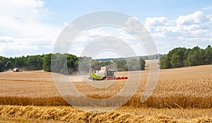 Combines at work in field during wheat harvesting