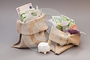 Two money bag with euro and piggy bank