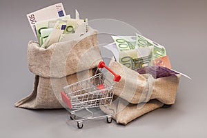 Two money bag with euro and shopping cart