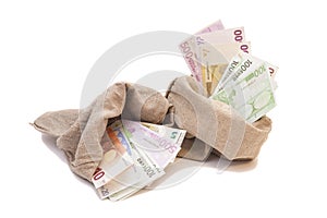 Two Money bags with euro