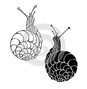 Two monochrome snails on white background