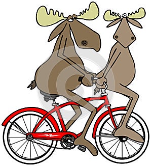 Two moose on a red bike