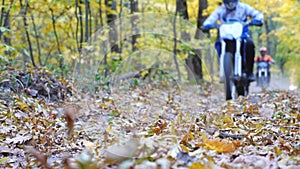 Two motorcyclists riding fast on their motorbikes through autumn forest. Friends having active rest outdoor driving