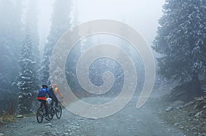 Two Mountain bikers in fog on mountain