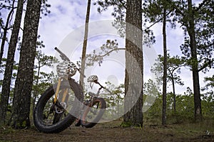 Two mountain bikes with helmets in the forest