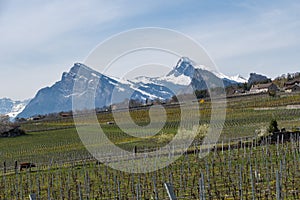 Two mountain peaks in the rhine valley in Switzerland