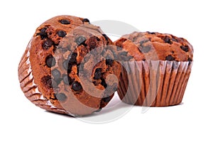 Two muffin chocolate chip cup cakes white background