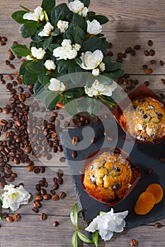 Two muffins, aroma coffee grains and flowers of azalia on gray wooden background. Top view.