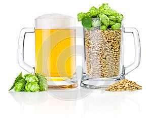 Two Mug: fresh beer and full of barley hops