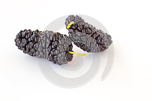 Two mulberry berry on white background