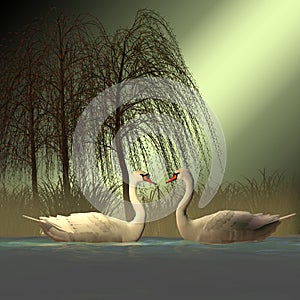 Two Mute Swans
