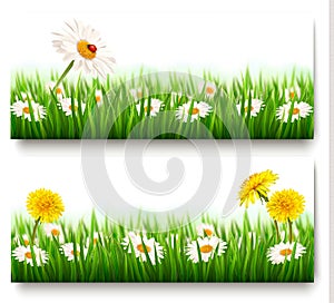 Two nature banners with colorful spring flowers