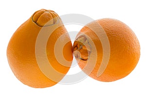 Two navel oranges