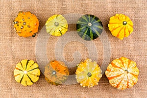 Two neat rows of different ornamental gourds