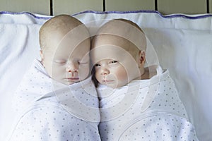 Newborn Twin Babies Swaddled in White photo