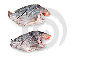Two Nile Tilapia raw fish isolate and clipping paths