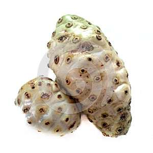 Two Noni Fruit Vomit Cheese Puke Fruit Morinda citrifolia