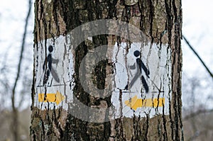 Two nordic walking sign on the tree bark