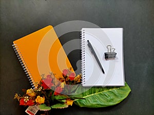 Two notebook and ballpoint at black background