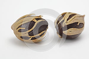 Two Nutmeg