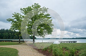 two oak trees on the lake coast .