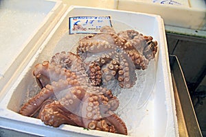 Octopus in Meat Market in Downtown Athens, Greece
