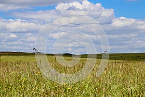 Two oil gas pumpjacks on the horizon of hills out on the prarie with blue sky with white clouds and blurred weeds and flowers in