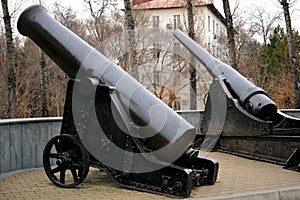 Two old artillery cannons