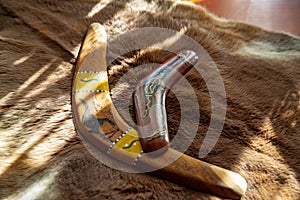 Two old boomerangs laying on the kangaroo skin, fur with wooden glossy table in the background. Souvenirs from Australia on