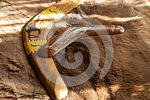 Two old boomerangs laying on the kangaroo skin, fur with wooden glossy table in the background. Souvenirs from Australia on