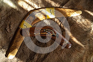 Two old boomerangs laying on the kangaroo skin, fur with wooden glossy table in the background. Souvenirs from Australia on