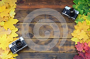 Two old cameras among a set of yellowing fallen autumn leaves on a background surface of natural wooden boards of dark brown colo
