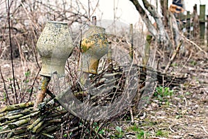 Two old clay jugs are hanging on a wicker fence