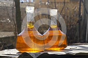 Two old decanters with amber-colored wine against the backdrop of a vineyard. The bright sun illuminates the wine. Georgia photo