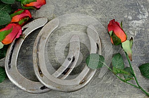 Two old horse shoes paired with silk red roses on a scratched up steel background