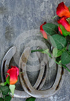 Two old horse shoes paired with silk red roses on a scratched up steel background