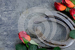 Two old horse shoes paired with silk red roses on a scratched up steel background