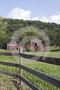 Two Old Red Barns