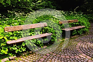 Two old ruined wooden benches in the abandoned part of the park. Two empty wooden bench in the park