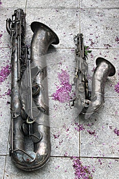 Two old saxophones on stone tiles floor with flower petals