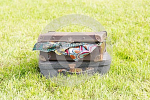Two old suitcase on grass