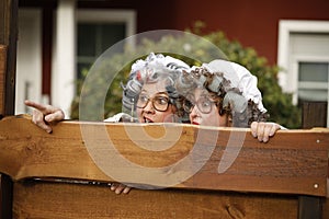 Two old Women peeping over the garden fence