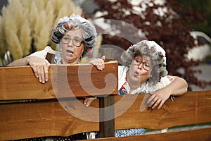Two old Women peeping over the garden fence
