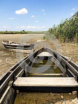 Two old wooden broken boats on the river bank near the reeds. Countryside. The dried river