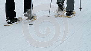 Two older couples enjoying skiing in idyllic winter