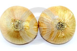 Two `onion eyes` on a white background