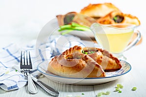 Two open pies with savory filling (rastegay). Russian kitchen